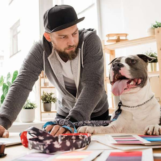 Hero-Dog-Toys