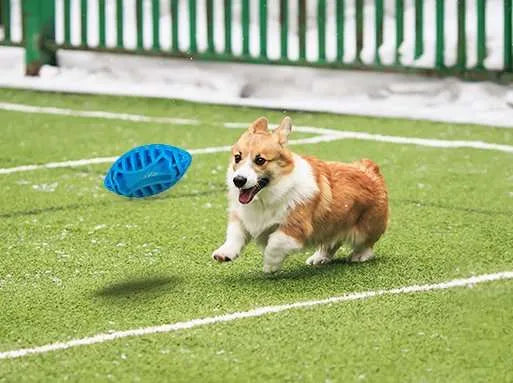 Are You Ready For Some Football?