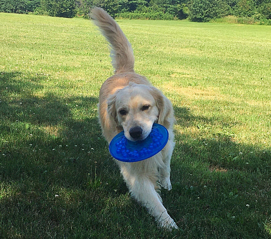 Hero Freezies Disc