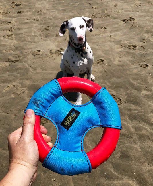 Hero Ultra Play Flying Squeaks Ring