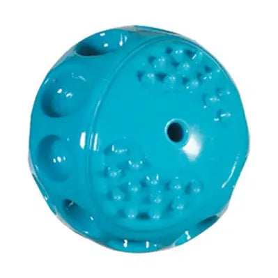 Squeaker Ball Dog Toy Chase 'N Chomp