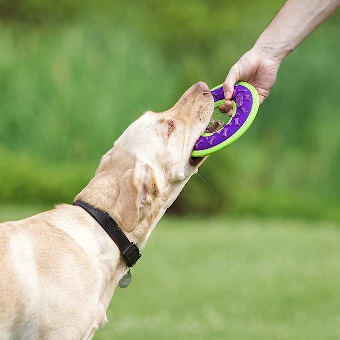 HERO Outer Armor Large Fetch Ring for Medium-Large Dogs, Floats & Squeaks