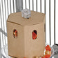 Bird cage mount Buffet Box