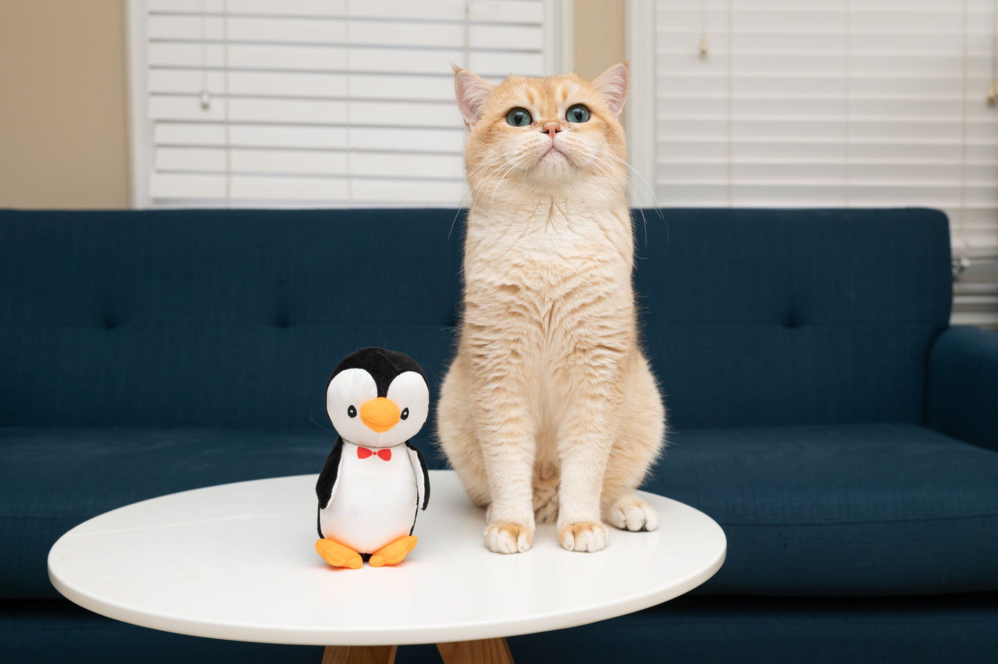 Pippin The Penguin