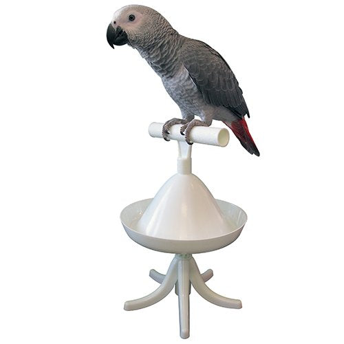 The Percher Portable Training Perch for birds