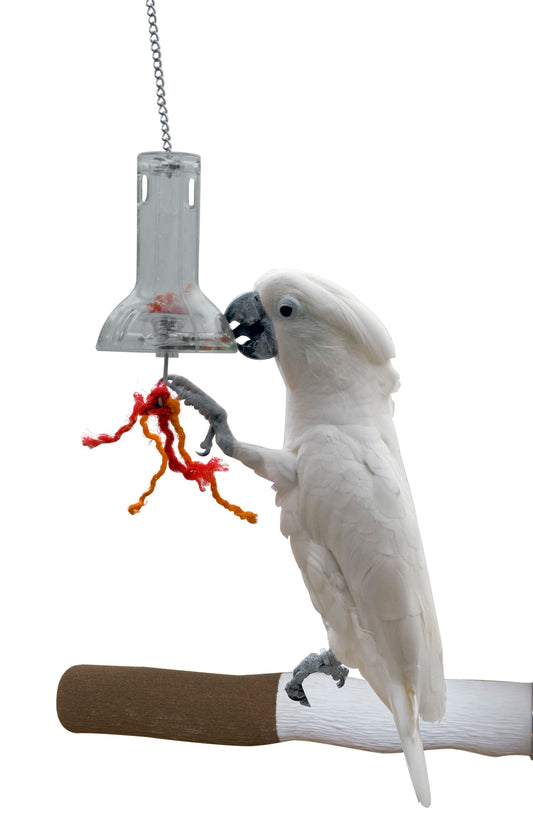 Bird foraging capsule