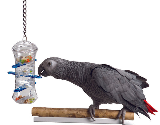 Push and Pull bird cage toy