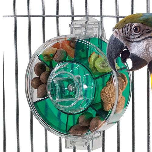 Giant foraging wheel for birds