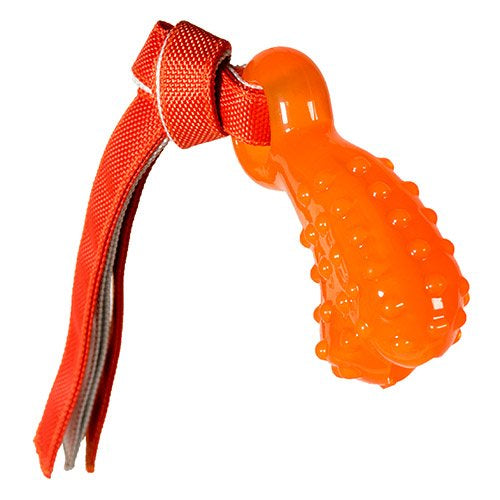 Retriever Series Action Dino Bone with Canvas Tassels for dogs