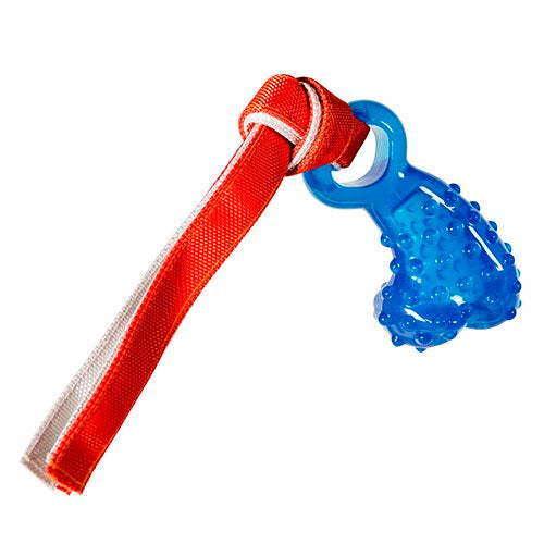 Hero Action Dino Bone