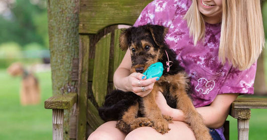 PUPPIES ARE UNIQUE, THEIR TOYS SHOULD BE, TOO.