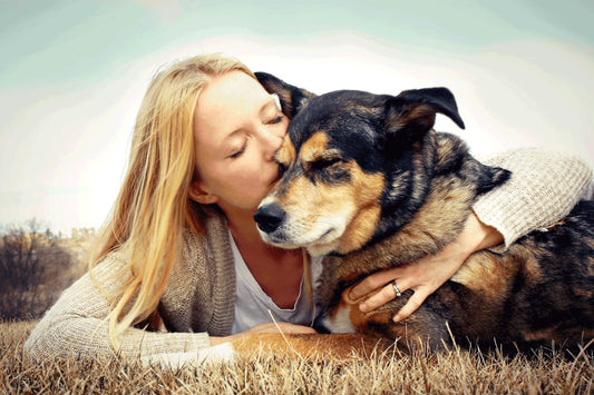 WHY ADOPT A SENIOR DOG?