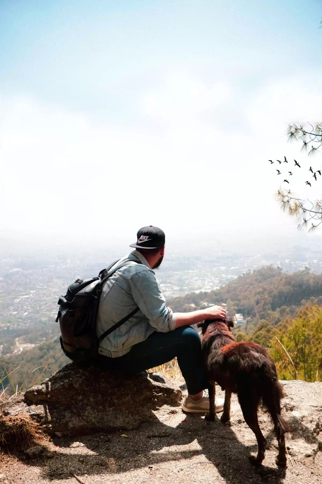 Mountain Hiking With Your Dog: Tips For Your Next Outdoor Adventure