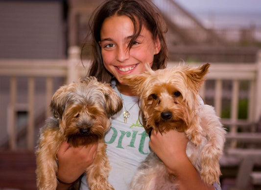 EVER WONDER WHERE MOST PET STORE PUPPIES COME FROM?