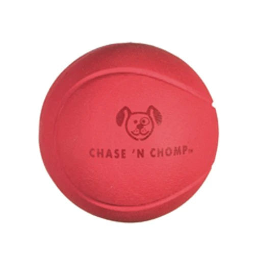 Chase 'N Chomp Fetch Toys