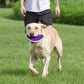 HERO Outer Armor Large Fetch Boomerang for Medium-Large Dogs, Floats & Squeaks