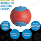 HERO Outer Armor Small, Durable Ball for Small Dogs, Squeaks & Floats