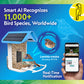 Smart AI Wild Bird Feeder with Free AI Subscription