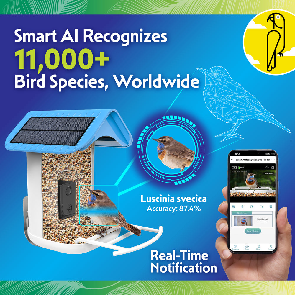 Smart AI Wild Bird Feeder with Free AI Subscription