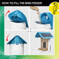 Filling Bird Feeder