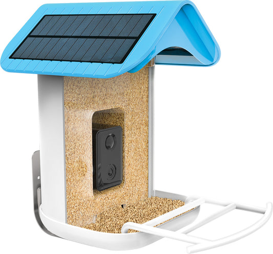 Smart AI Wild Bird Feeder with Free AI Subscription