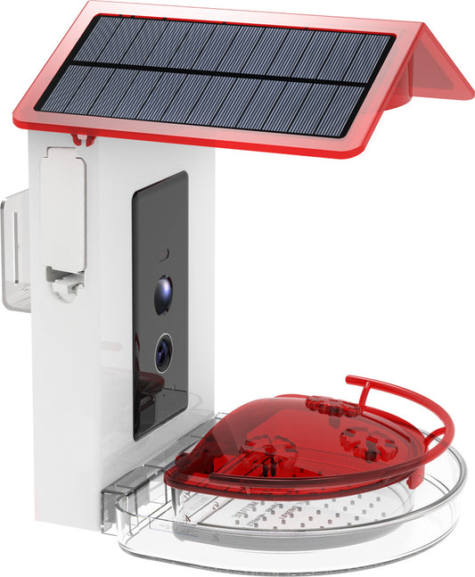 Smart AI Humming Bird Feeder with Free AI (included)