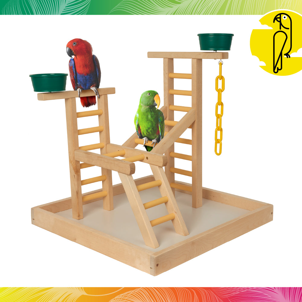20" Playland Bird Perch with Cups