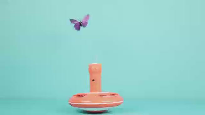 BUTTERFLY - アンコラ Amazon.com: Caitec Presents Nala Cat Motorized Butterfly