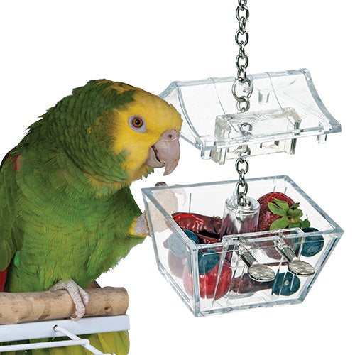 Parrot's Treasure foraging bird toy