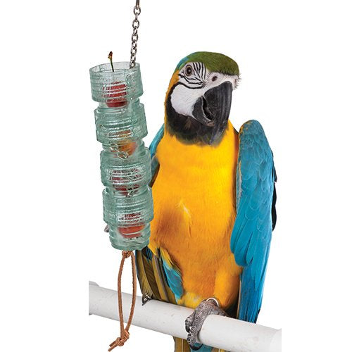 Parrot with Turn N Learn Log