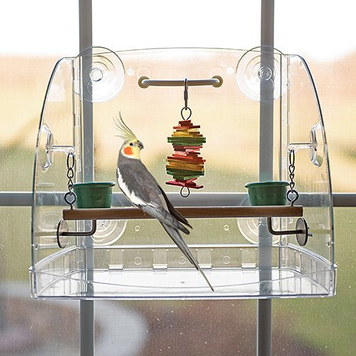 Bird window play perch