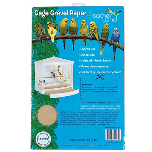 Cage Gravel Paper