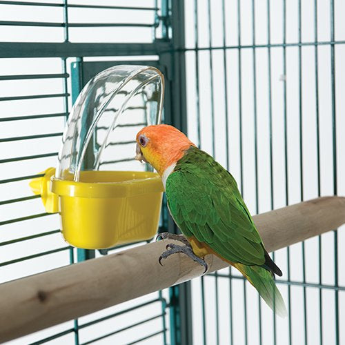 Cage mounted hooded cup for birds