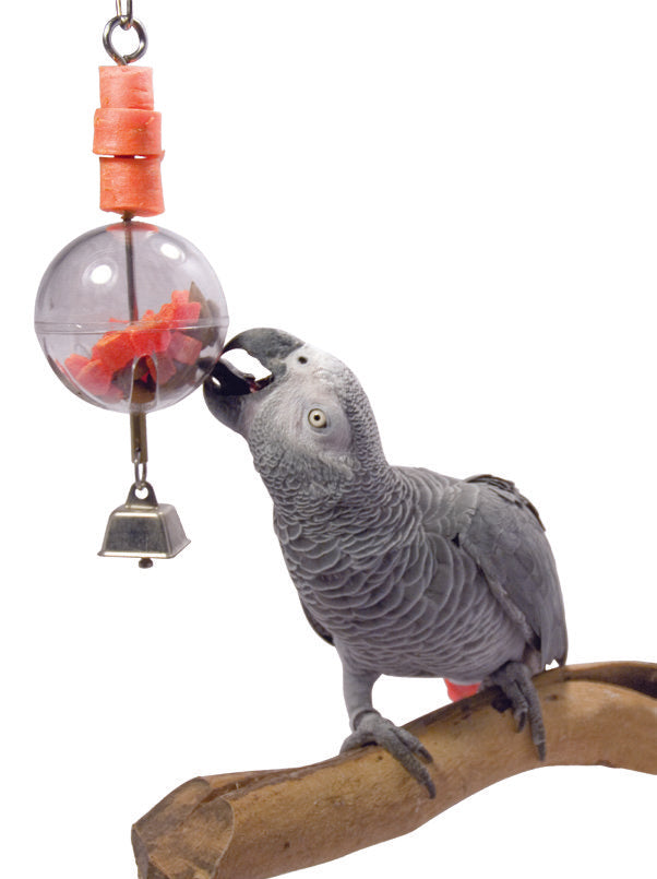 Bird foraging sphere with bell