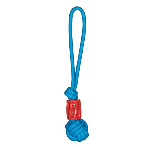Corky tug toy for dogs