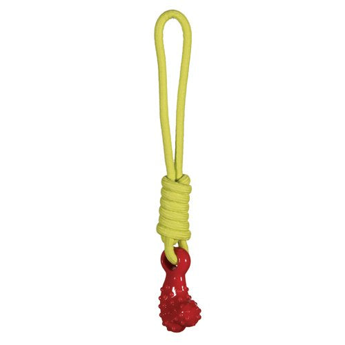 Comet tug toy for dogs