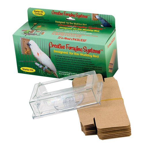 Creative foraging systems starter kit for large birds