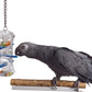 Push and Pull bird cage toy