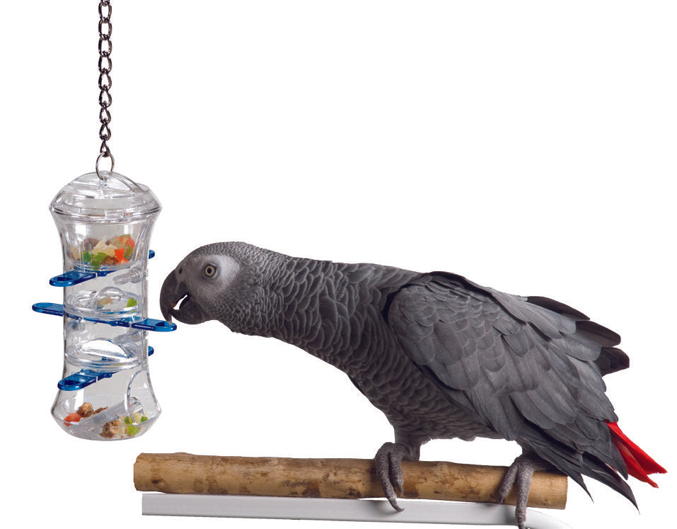 Bird Supplies, Parrot Toys