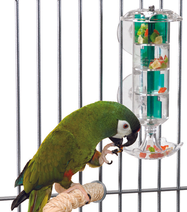 Parrot puzzle hot sale feeder