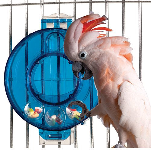 Mastermind Circle foraging bird cage toy