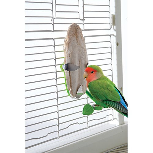 Cuttlebone bird cage holder