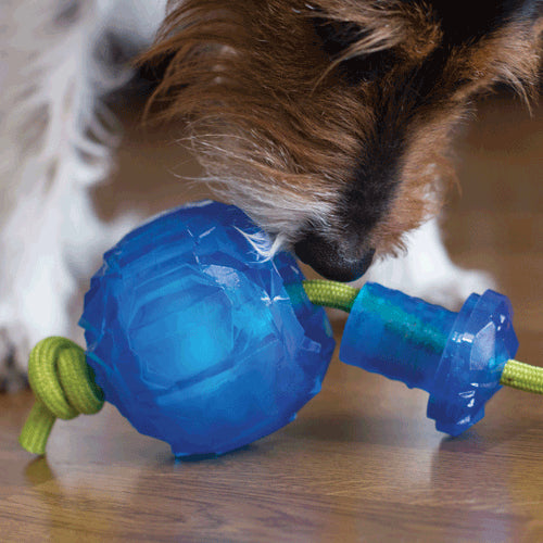 Hero freezies tug and toss dog ball toy