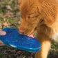 Hero freezies frisbee for dogs