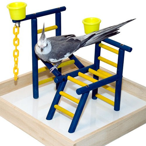 14" Bird Playland with Cups